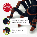 Игрушка разв. ТАРАНТУЛ Bondibon, пульт д/у, звук.эффект, свет.глаза, ползает по стене (акк+USB)